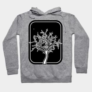 Sylvan Hoodie